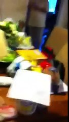 Goldfish from dandy orandas