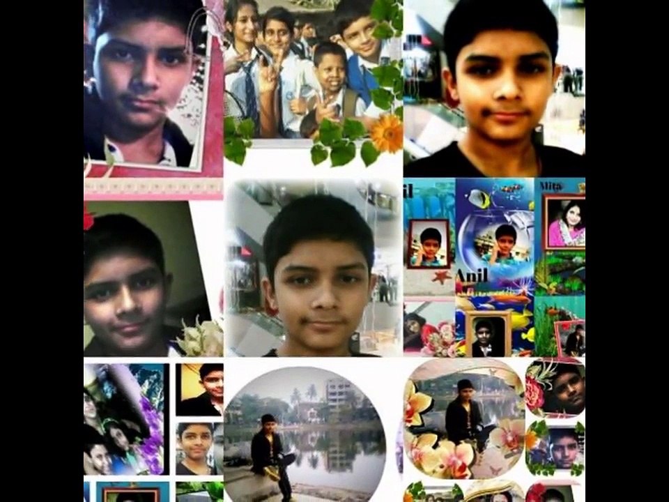 ANIL SHARMA (ALBUM-1)