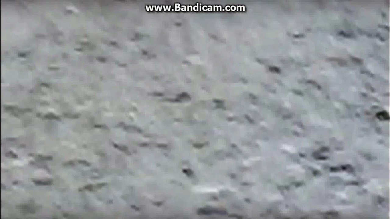 Crazy kid tries to record while riding a bike and fails!!! (SLOWED DOWN)!