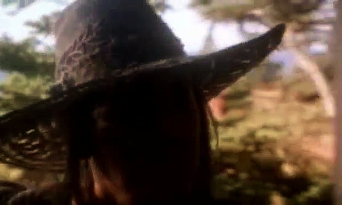 Gary Oldman, Demi Moore - The Scarlet Letter trailer