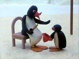 Pingu builds a Igloo