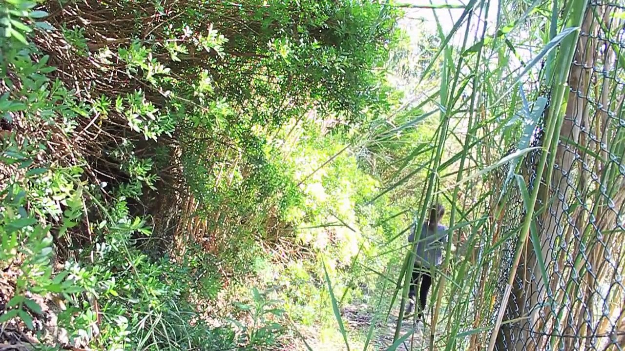 Fitness & Healthy Tips ♥