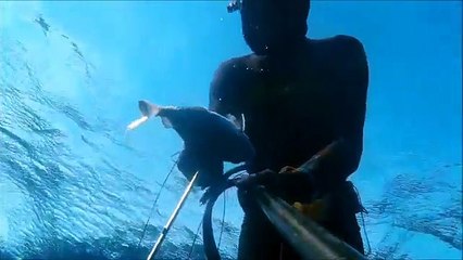 Spearfishing   black and white