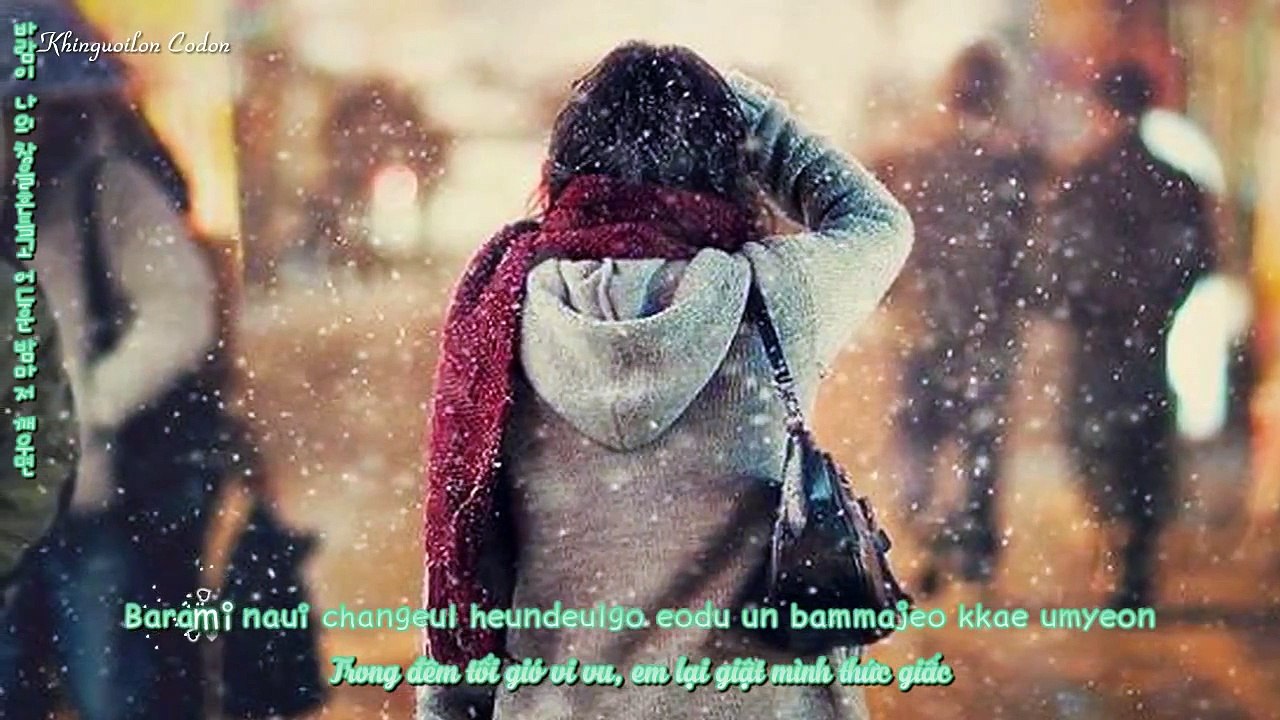 Snow Flower | Park Hyo Shin | Lyrics [Kara + Vietsub HD]