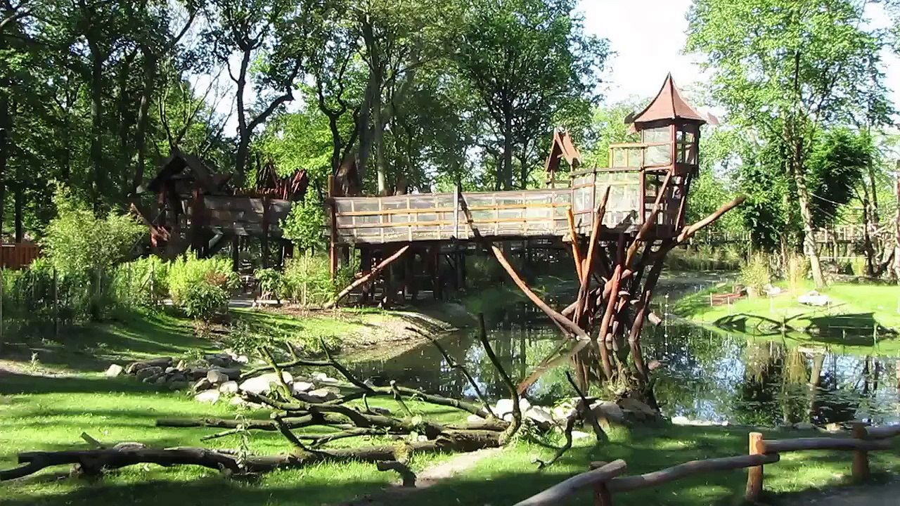 Zoom Zoo Erlebniswelt in Gelsenkirchen der Asienteil, the Asian part mit Urang Uta Roter Pande