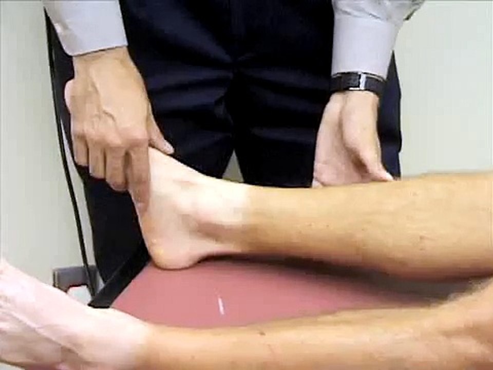 Ankle Palpation