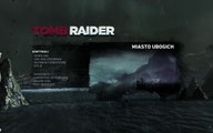 Tomb Raider R9 290 TEST [Game DVR Windows]