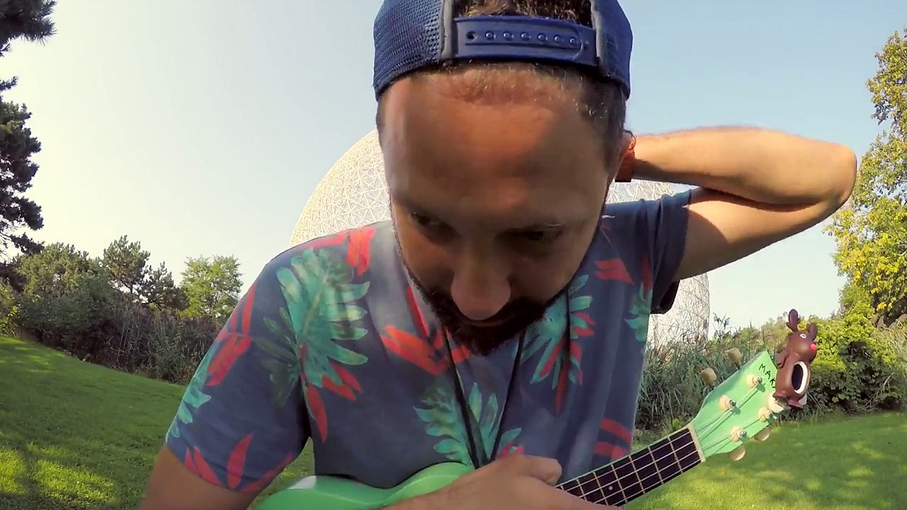 Green Day - One of My Lies (ukulele cover)