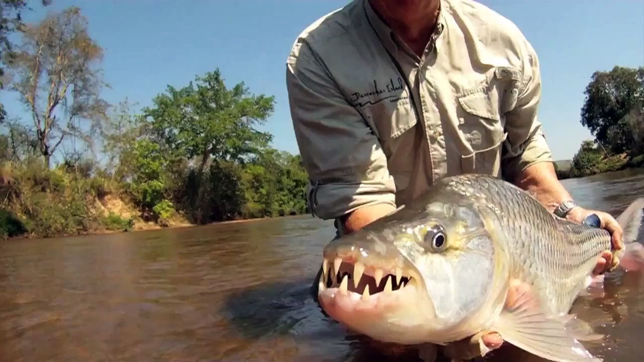 Fishing for big Tigerfish in Tanzania