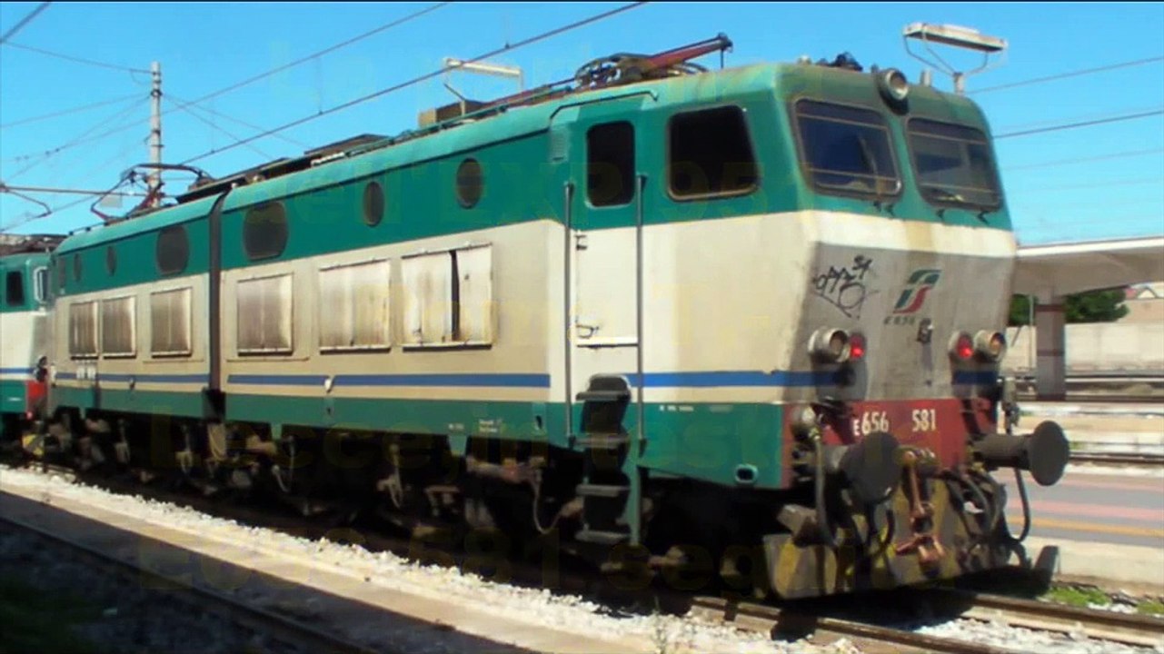 L'INCONFONDIBILE RUGGITO DEL CAIMANO