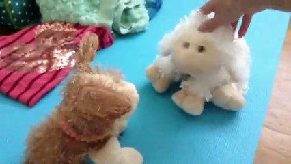 Sleepover gone wrong!