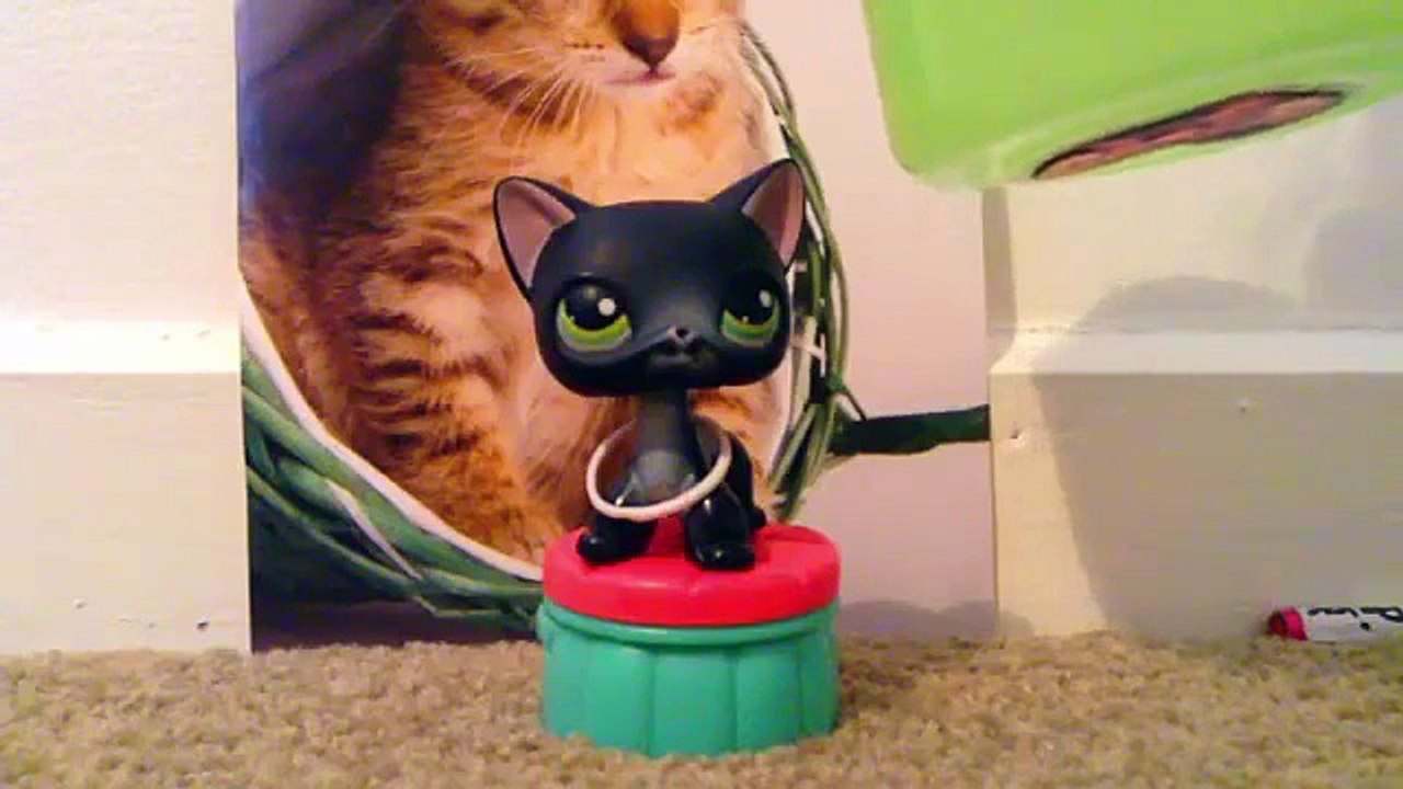 ALS Ice Bucket Challenge