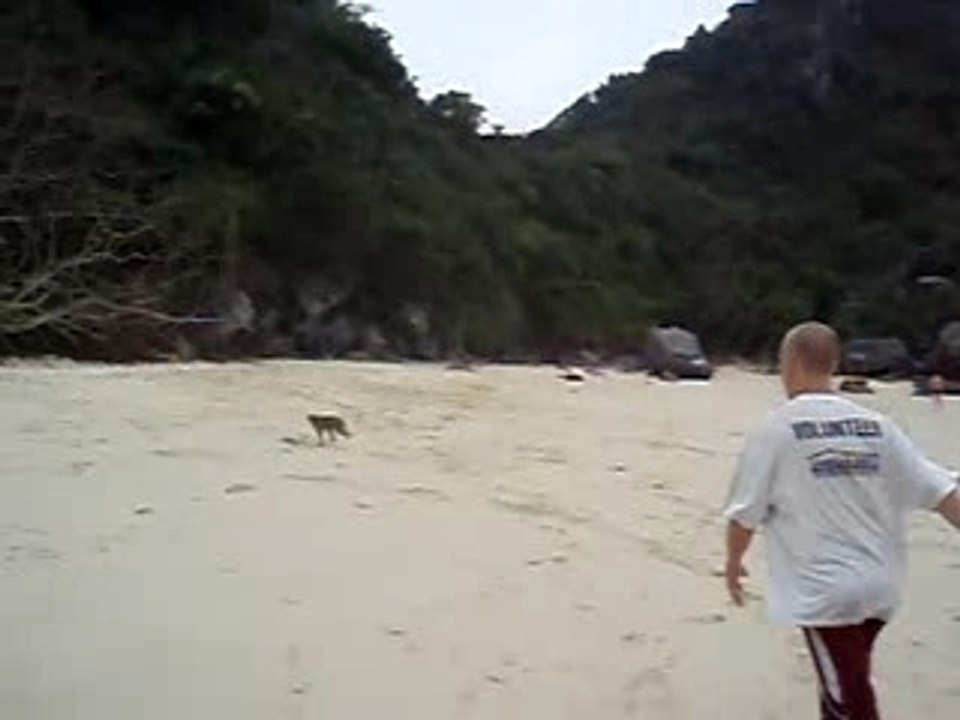 Monkey Science
