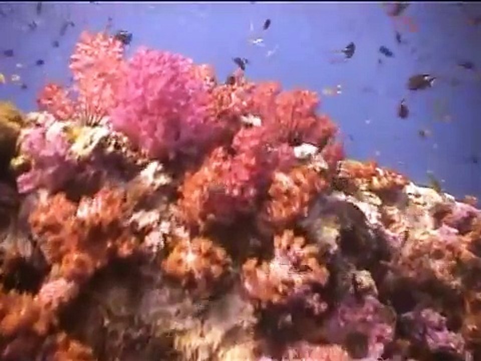 Holiday inn Phi Phi Island 4* (Phi-Phi, Thailand)