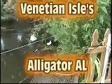 Venetian Isles Gator