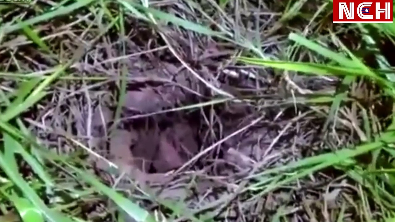 Quiso imitar a Joaquín "El Chapo" Guzmán pero quedó atrapado en el túnel