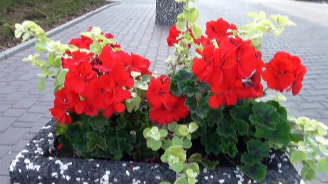 #7 Warszawa Варшава Warsaw - Polska Польша Poland / Travel Europe by car / По Европе на авто