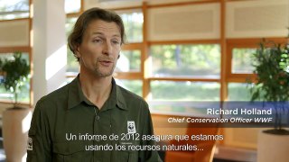 Trabajo conjunto entre Rabobank y WWF Chile