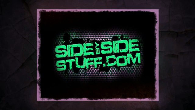 Dragonfire-Racing-Doors-RZR-570,-800,-S-800-a