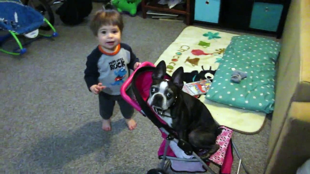 Pushing Oscar in the Stroller