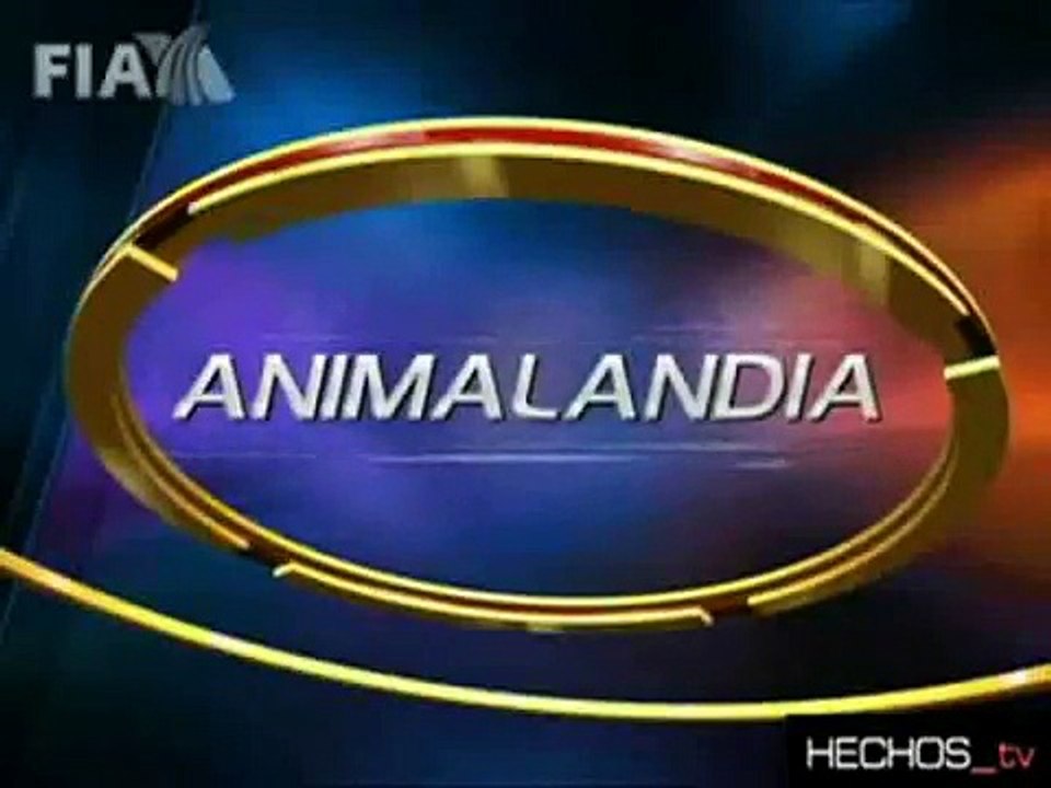 caminando con dinosaurios en mexico