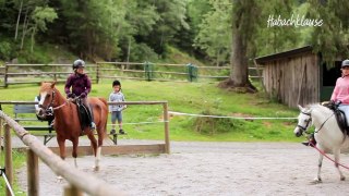 Riding & Farm - All inclusive Baby + Kinderhotel & Farm-Resort Habachklause