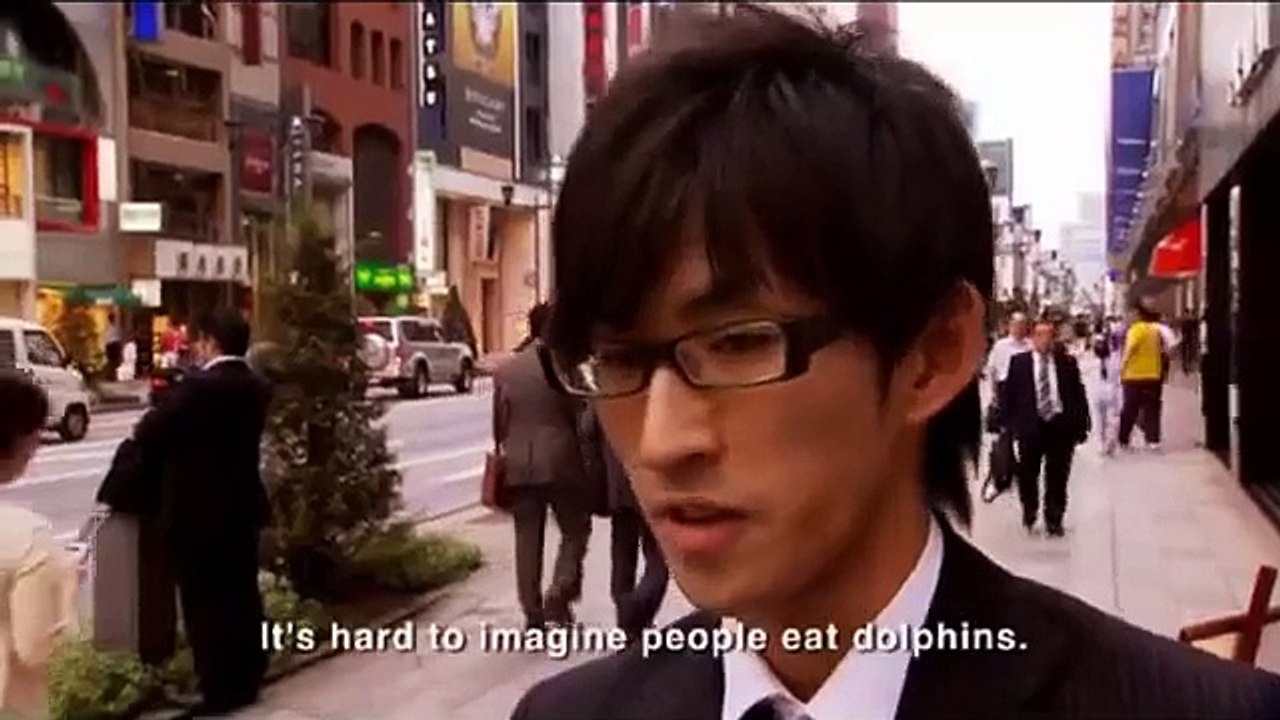 NGOs Broadcast the Report how japan Slaughter Dolphins