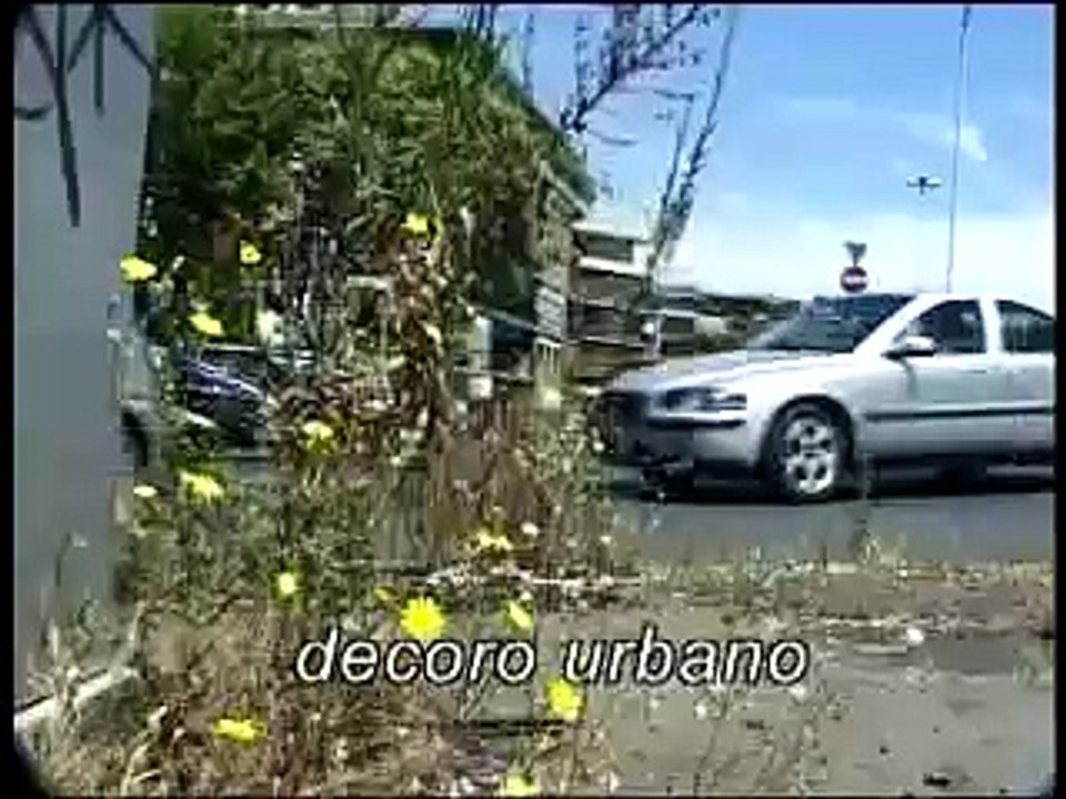 PARCHEGGI A ROMA