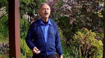 Nemesis Nibiru Planet X The Universe  Part 1