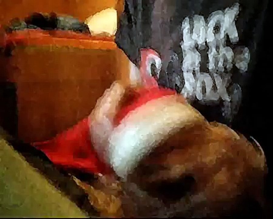 A caballo regalao, no le toques la huevera.