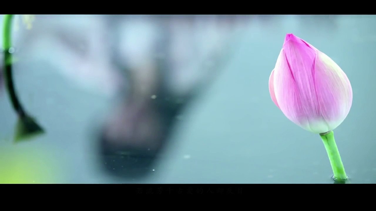 Ost. ฮวาเชียนกู่ ตำนานรักเหนือภพ 2015