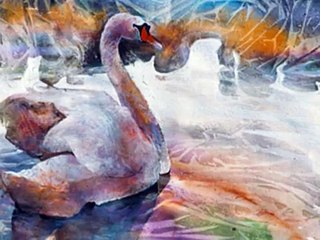 Swan Song - Franz Schubert.