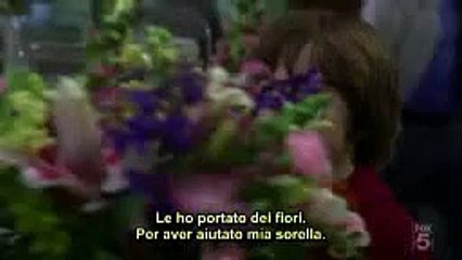 dr house house/cameron/chase