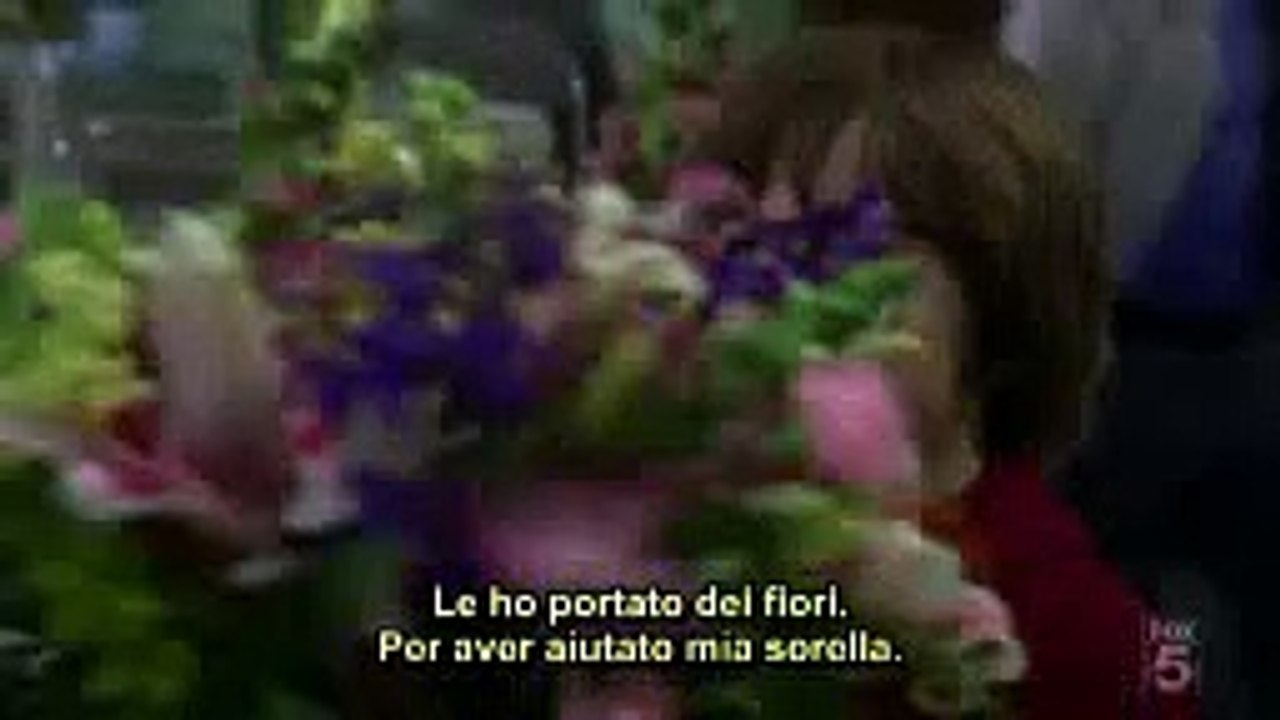 dr house house/cameron/chase