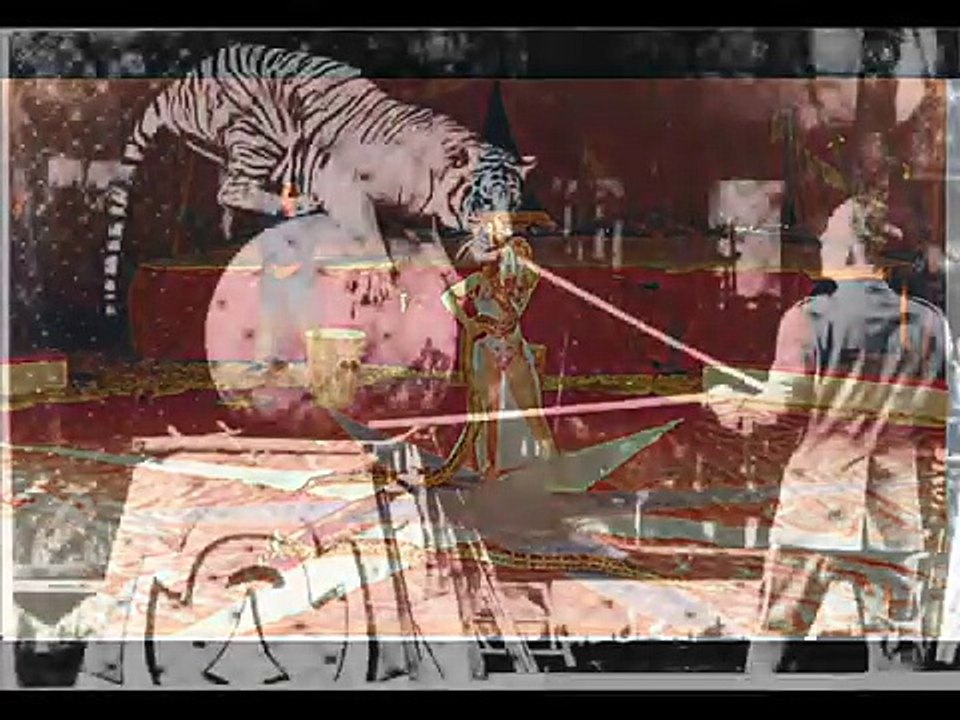 Chipperfield's Circus Slideshow