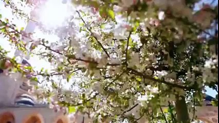 اجمل اذان سمعته في الكون  مؤذن مسجد قباء  ومترجم بالانجليزى