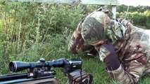 The Airgun Show – hunting rabbits in the wind, PLUS the Daystate Wolverine 303 on test