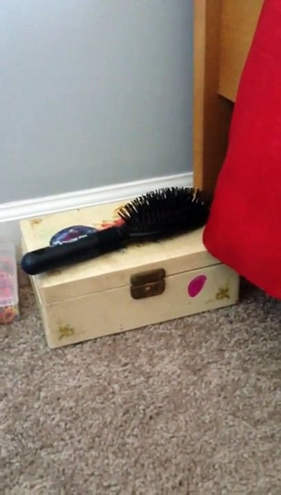 Freaky Box