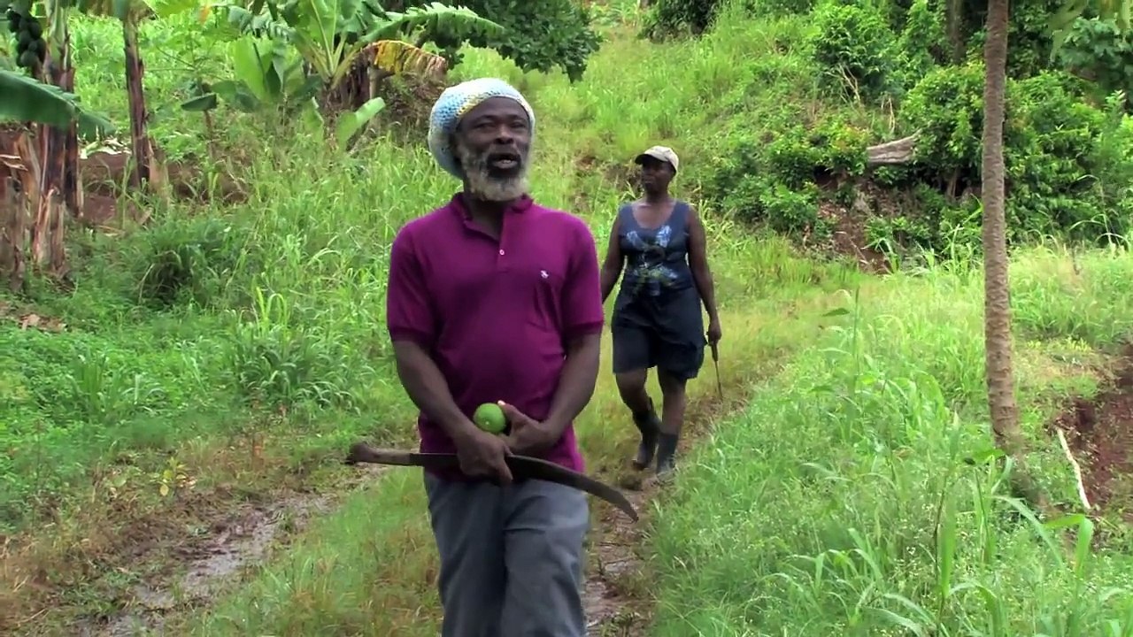 Efectos REALES del calentamiento global