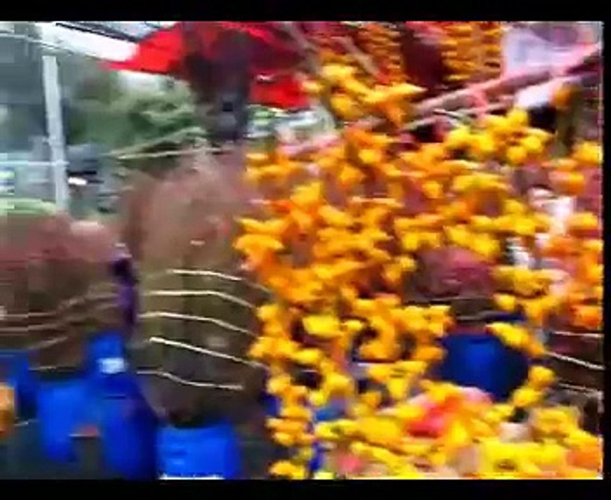 Famous flower market (before Chinese New Year)