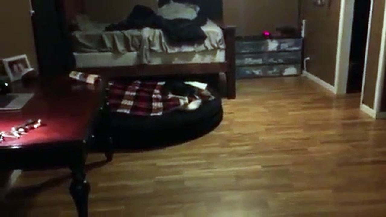 Rockit's reaction to Kid Cudi's s song Marijuana