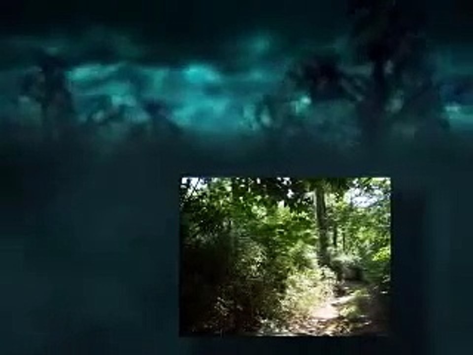 BFGTV-Honobia Bigfoot Conference 2007-Driveroperator