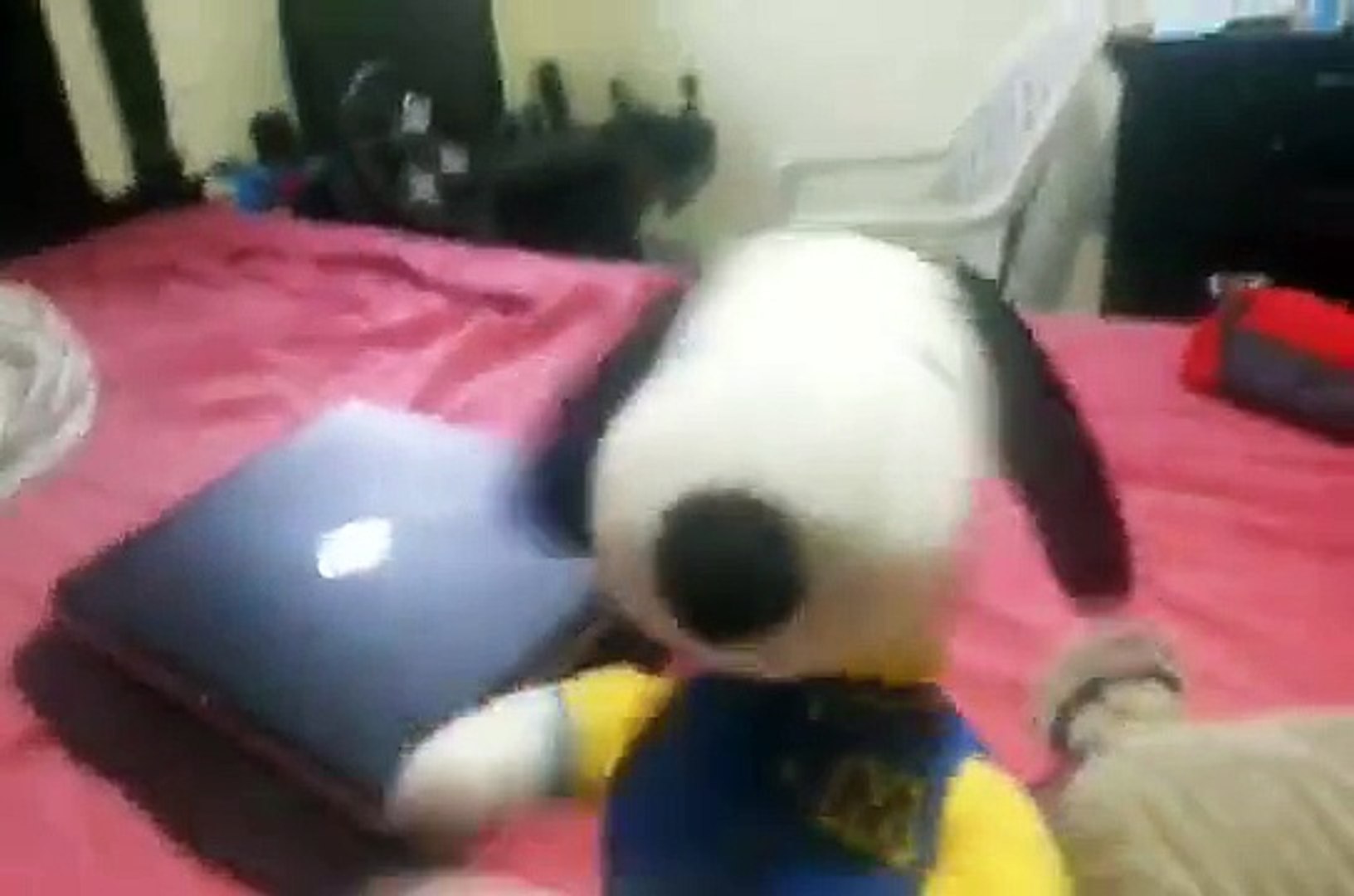 Micky  mouse  steel  black  racoons  money