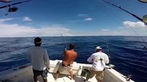 Marlin fishing Costa Rica / Osa Peninsula