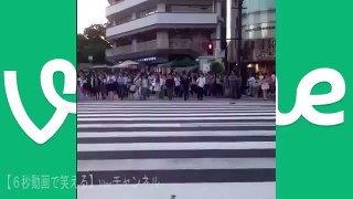 yamashin ゲリラダンス Japanese dance