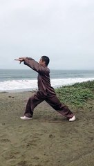 Shaolin Temple Baduanjin (Eight Silken Movements) qigong