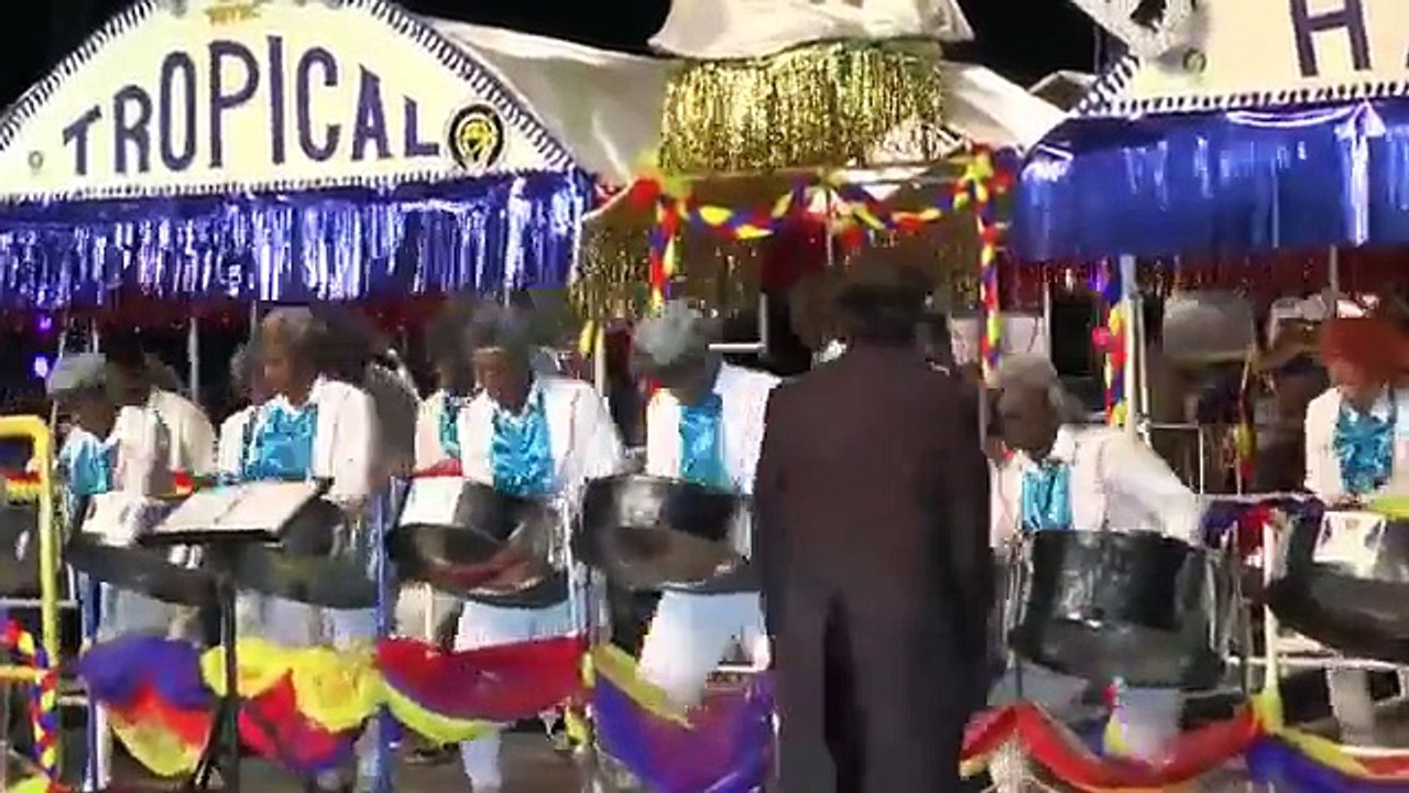 Tropical Angel Harps -  Pan for Beethoven