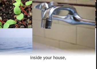 IPEN Toxics-Free Future Film English