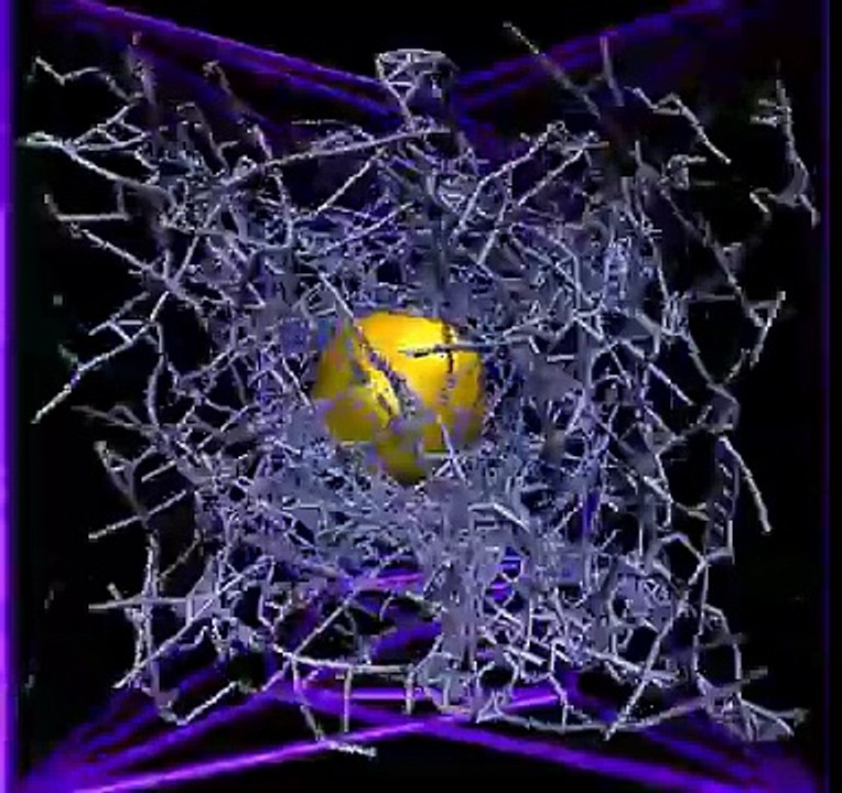 Simulation of a Colloid in Entangled Semiflexible Polymer Network
