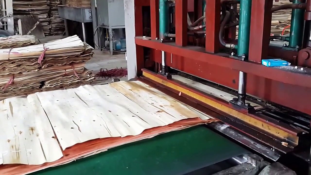 HAI PHU PLYWOOD FACTORY - HIGH QUALITY PLYWOOD- SAND CORE IN VIETNAM